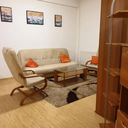 One Bedroom 5 Mins Close To Downtown Apartment *